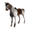 Cavalo_s/Sela_B