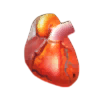 Kaizen_Heart